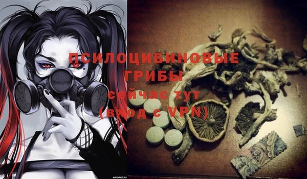 крисы Алзамай