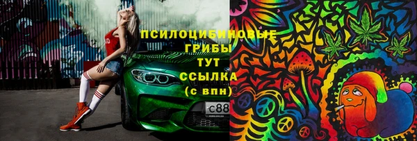 крисы Алзамай