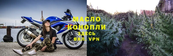 крисы Алзамай